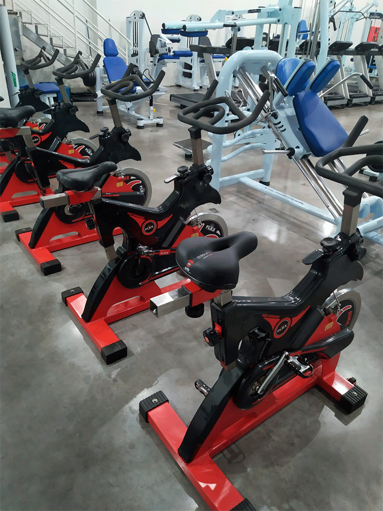 Academia Fitness